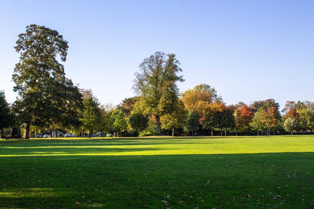 Kings-Heath-Park by Christine-wright