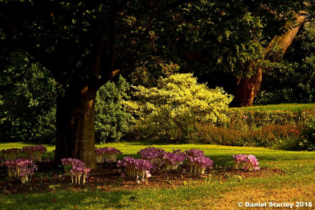 Birmingham Botanical Gardens taken by  Dan Sturley