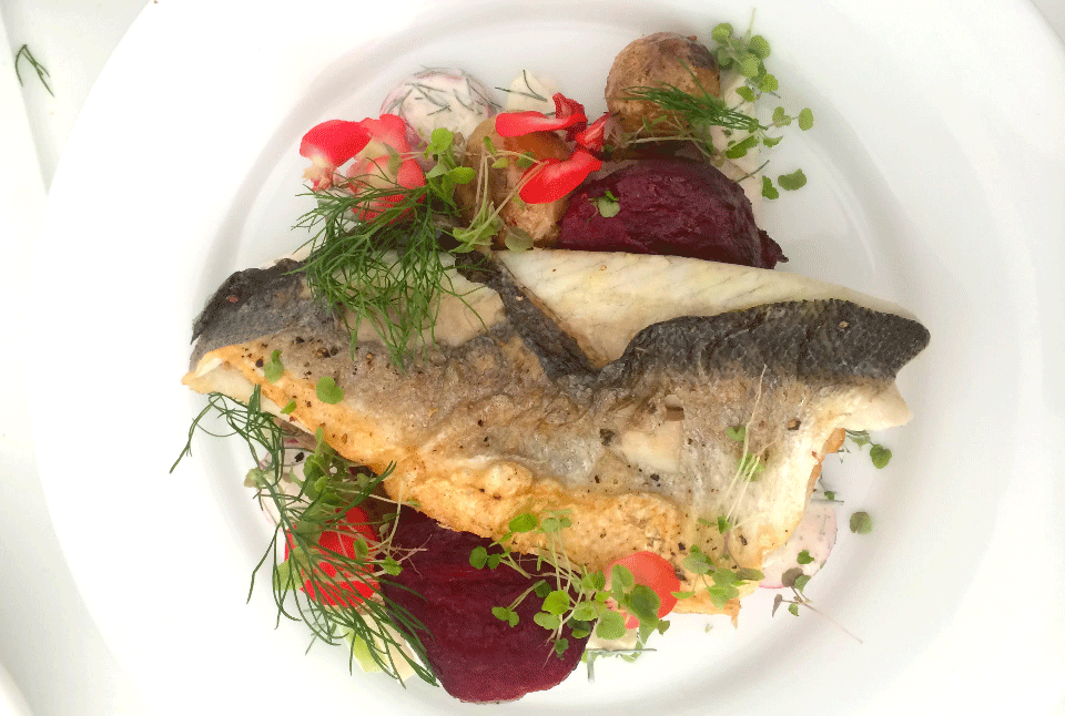 Seabass cooked by Alex Claridge of Wilderness for Cooking Cool at Staying Cool's aparthotel in Birmingham